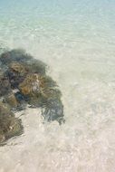 sand on a transparent surf of the ocean