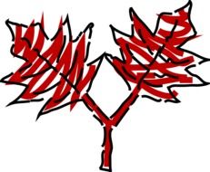 drawing of red leaves