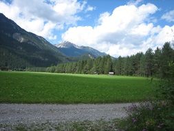 green field in the alpine mountains