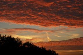 Beautiful, red and orange evening sky with clouds above the trees