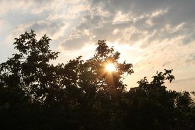 wonderful sky sun