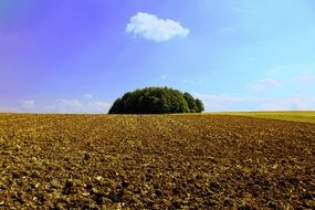 plowed field at sunny day