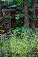 metal mesh along the forest