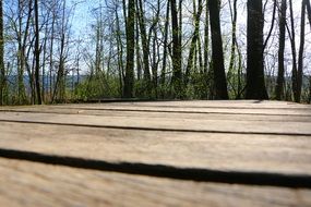 wooden walking bridge