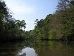 calcasieu river is a river in the southwest of louisiana