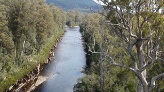 panorama of the river among the forest at the foot of the mountains