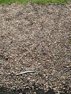 rocky soil