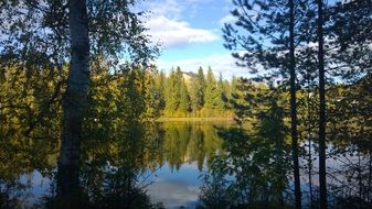 Forest lake Reflection on water