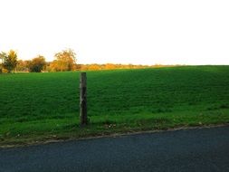 green field at road, rural landscape