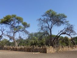 wooden fence on the beach in Namibia