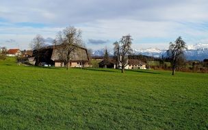 gorgeous meadow field