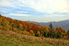 Poland Pieniny forest autumn