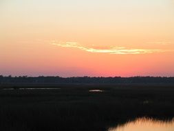 landscape of pink sunset over the swamp