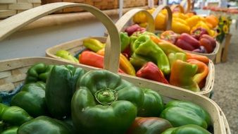 colorful peppers in baskets at a farmers market