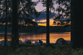 camping by the lake at sunset