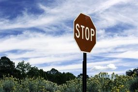picture of the stop road sign