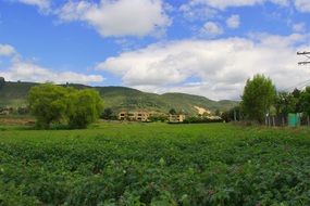 green landscape countryside