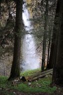 waterfall on a mountain behind forest trees