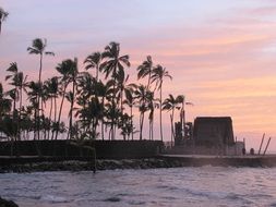 silhouettes of palm trees and hut on sea coast at sunset