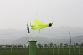 yellow bottle pinwheel in Korea