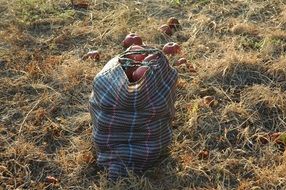 bag of red apples