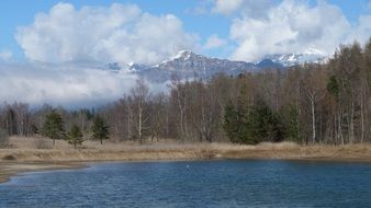 bare forest at pond in view of mountains