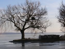 landscape of a lake after rain