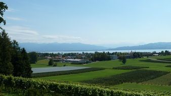 perfectly charming summer landscape