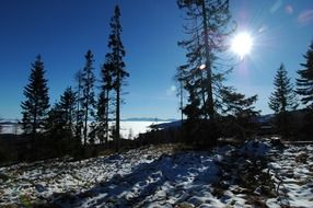 winter landscape on the background of the bright sun