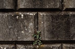 old stone wall close up