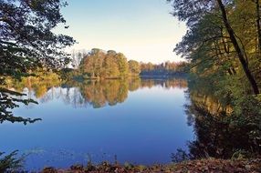 autumn forest on a wonderful lake