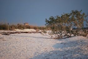 tropical sandy coast in florida