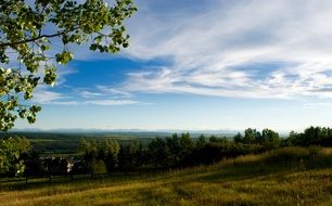 Forest hills sky landscape