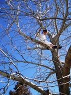 man in white on a tree, bottom view