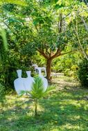 landscape design in the garden