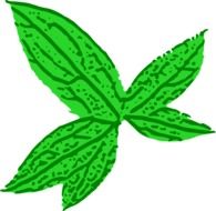 Drawing of marihuana leaf
