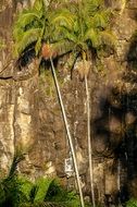 amazing rock cliff