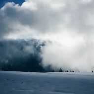 covered snow landscape