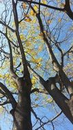 perfectly charming autumn