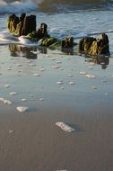 white sea foam on the coast of the Baltic Sea