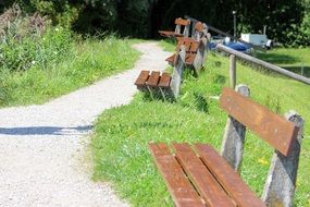 Benches among the plants in the park