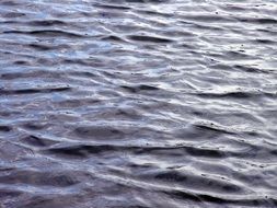 photo of ocean water texture