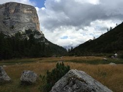 dolomites in the woods on a background of the cloudy sky