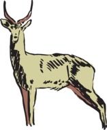 graphic image of forest antelope