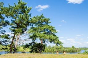 Bright sky river trees landscape