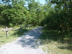 path for a walk in the woods