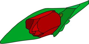 red tulip with green leaves, drawing