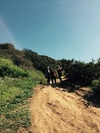People on the path