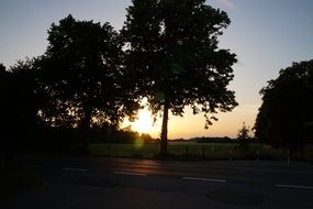 landscape of a road and trees at sunset