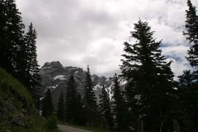 the road through the valley in the mountains in Austria